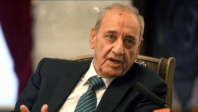 How did Berri comment on his meeting with Nawaf Salam?