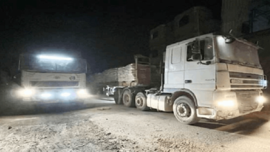 Video: Hundreds of aid trucks enter the southern Gaza Strip