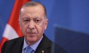 Erdogan confirmed his support for the Ukraine Land Unit