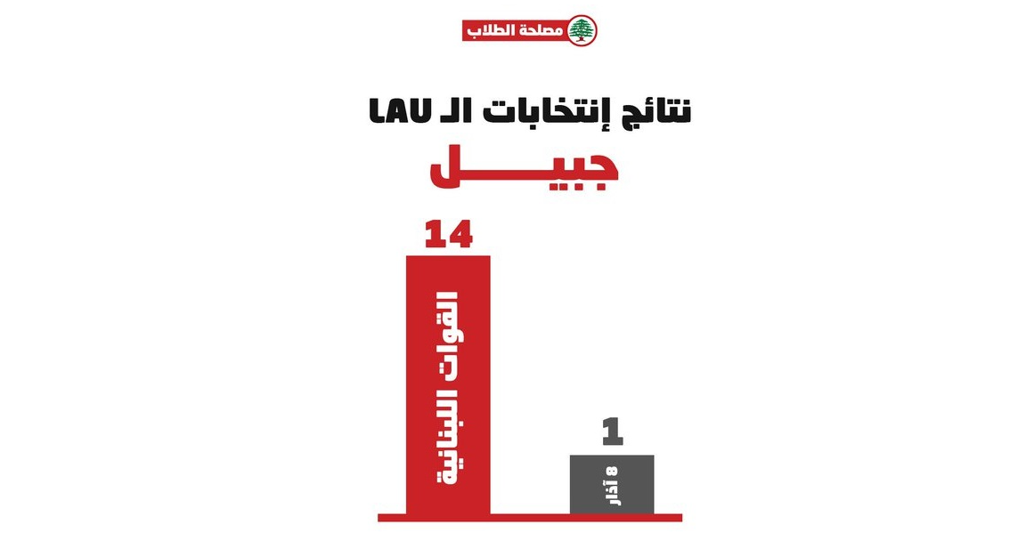 Lebanese youth on the date in support of the sovereign position