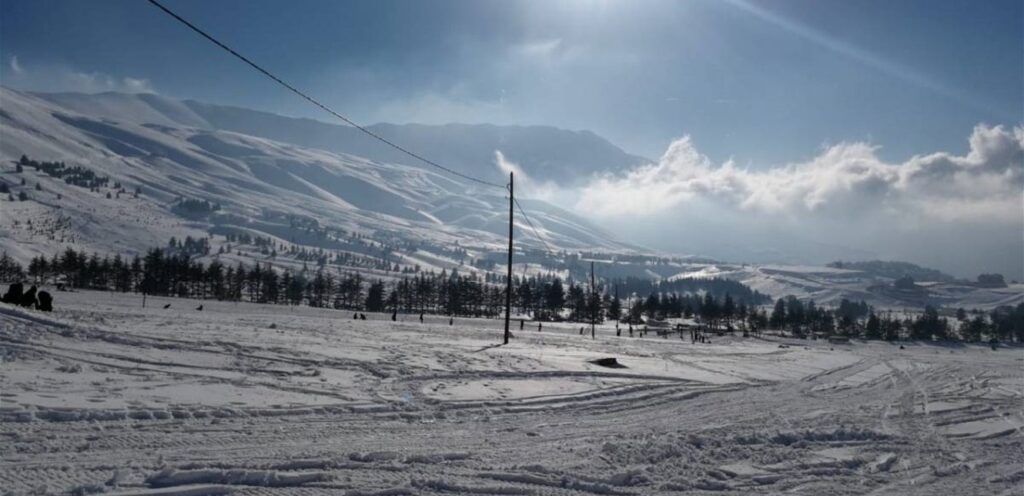 Lebanon today »A trip to rice turns into a big problem … Here is what happened on a bus