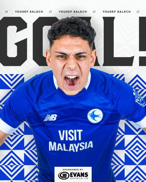 Youssef Saleh saves Cardiff City from an inevitable loss