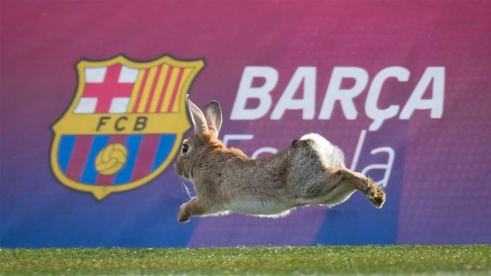 Video – an unexpected visitor in Barcelona training